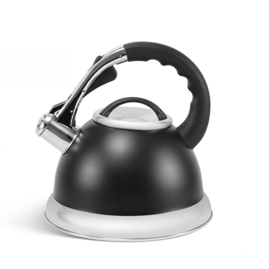 stainless steel kettle, whistling kettle, stainless steel electric kettle