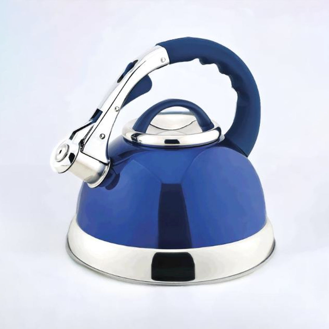 stainless steel kettle, whistling kettle, stainless steel electric kettle