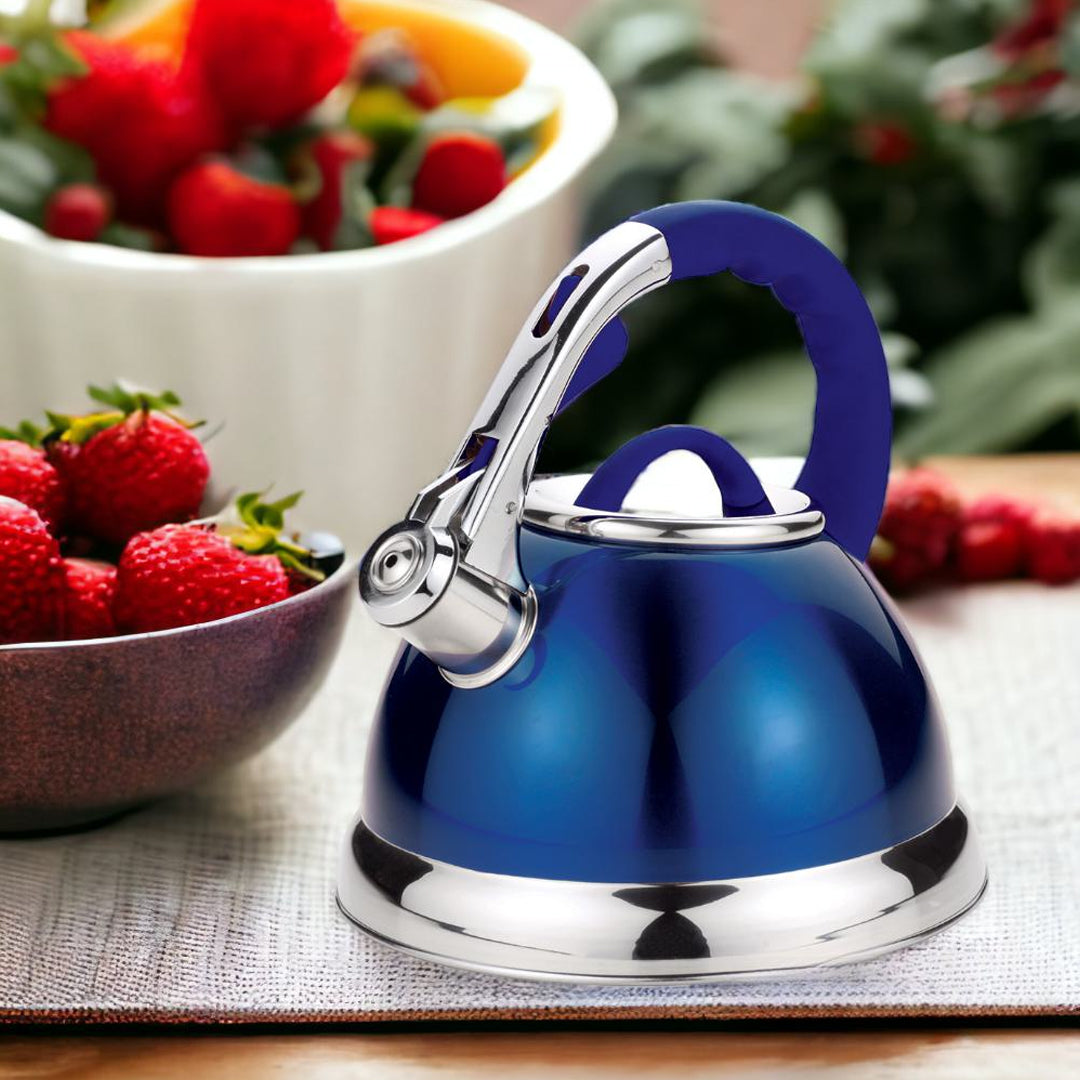 stainless steel kettle, whistling kettle, stainless steel electric kettle