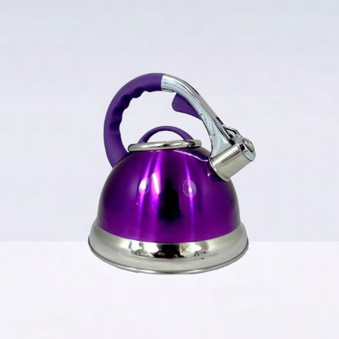 stainless steel kettle, whistling kettle, stainless steel electric kettle