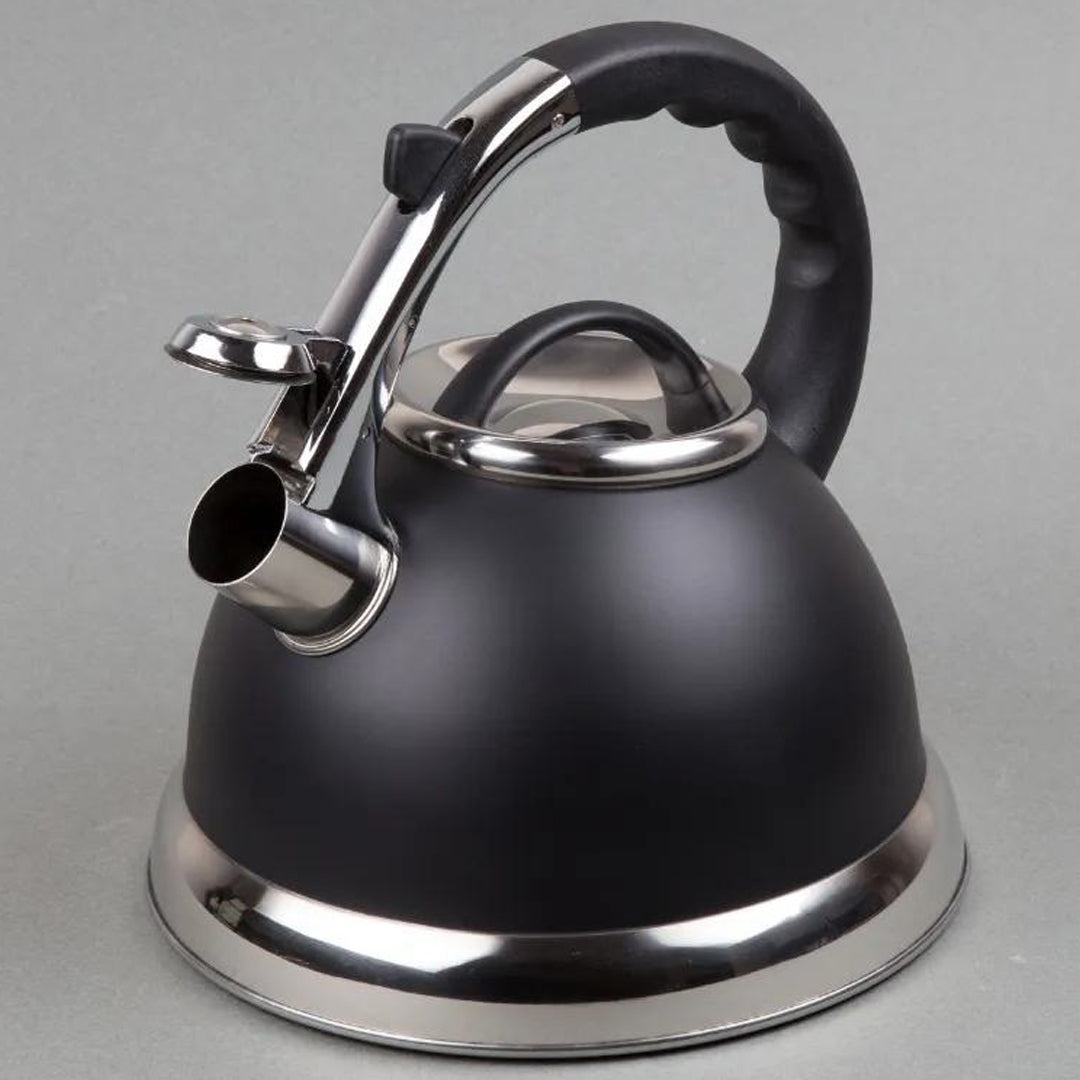 stainless steel kettle, whistling kettle, stainless steel electric kettle