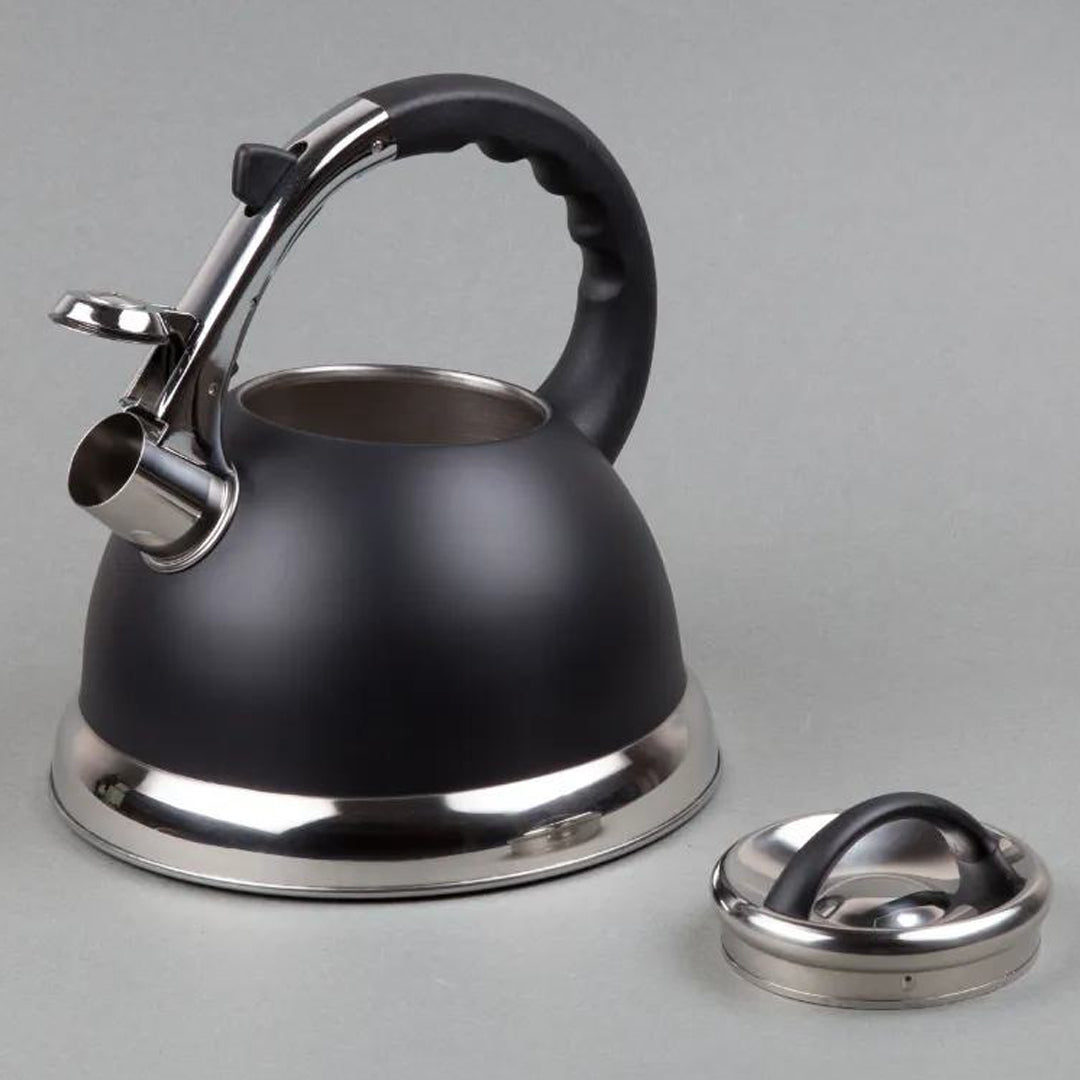 stainless steel kettle, whistling kettle, stainless steel electric kettle