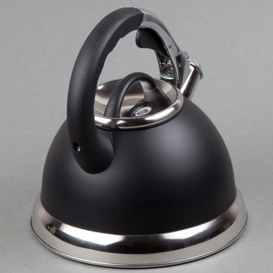 stainless steel kettle, whistling kettle, stainless steel electric kettle