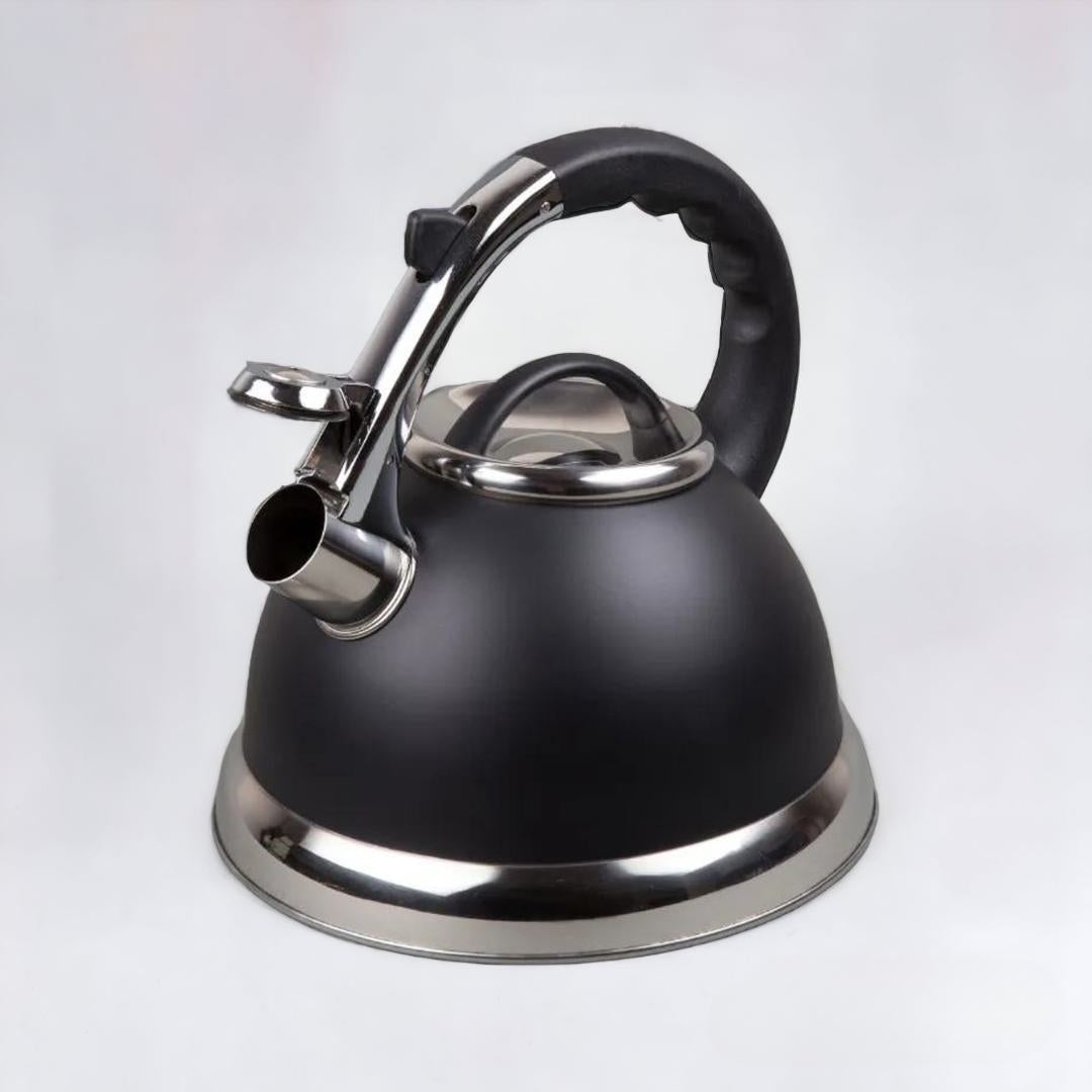 stainless steel kettle, whistling kettle, stainless steel electric kettle