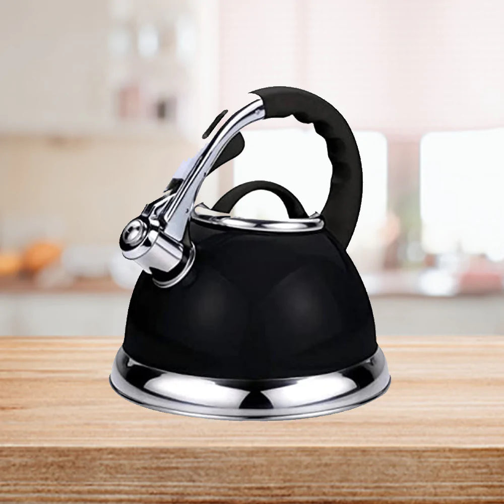 stainless steel kettle, whistling kettle, stainless steel electric kettle